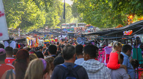 Guarda con los camellos