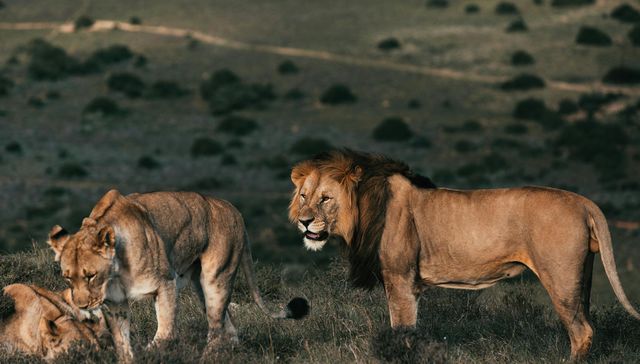 No estaba en el menú