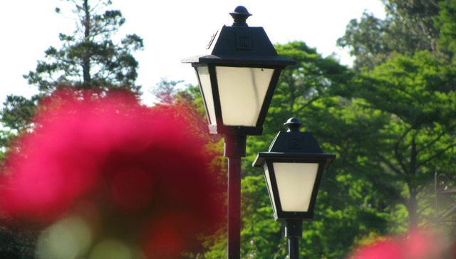 Disparos en la noche