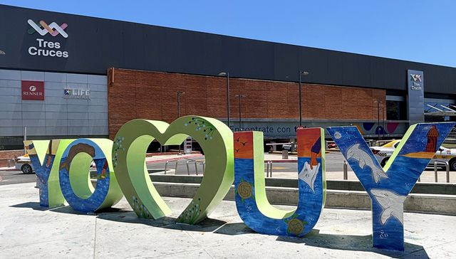 Creatividad que se renueva