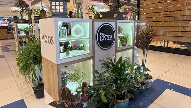 Visibilidad y crecimiento