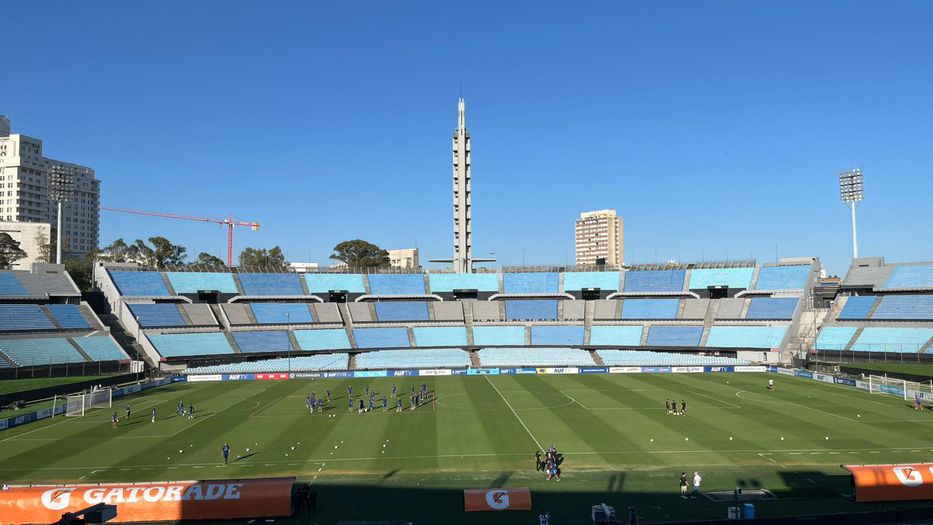 Por la plata baila el mono