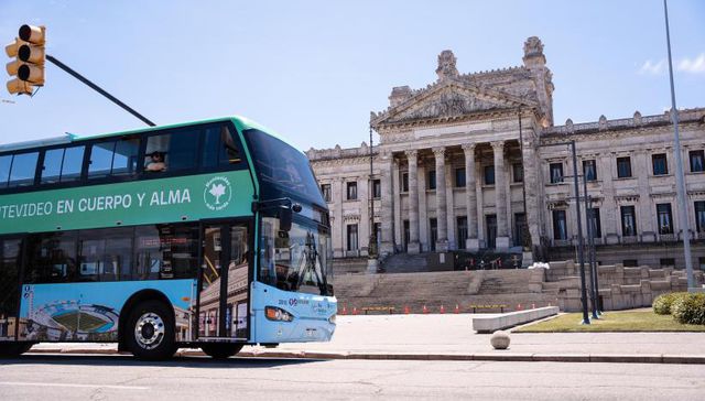 Viene amar, viene amar…