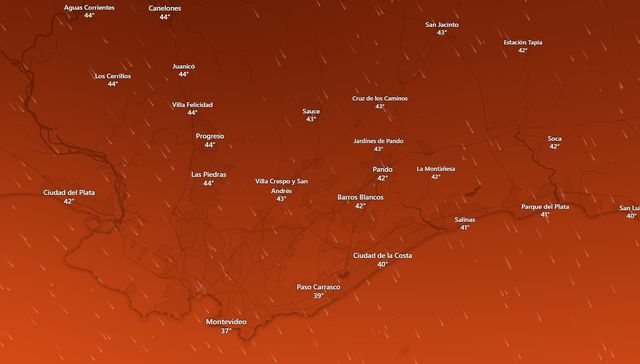 La sombra de algún árbol bonachón