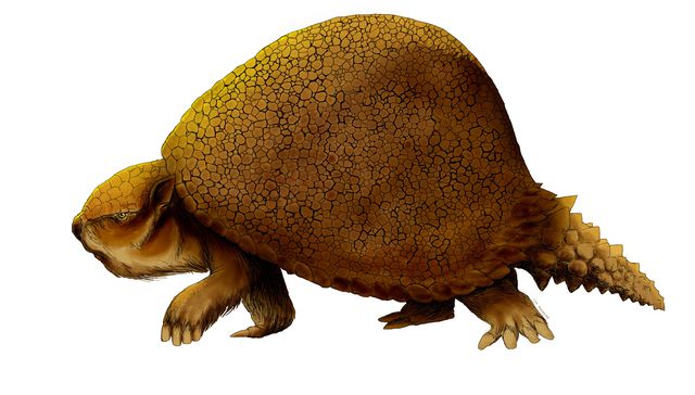 Gliptodontes en Uruguay