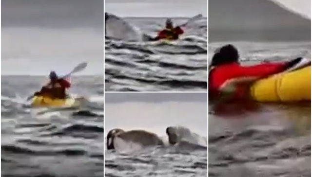 Tu nombre en clave es Jonás