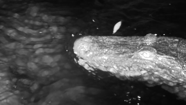 Por The New York Times