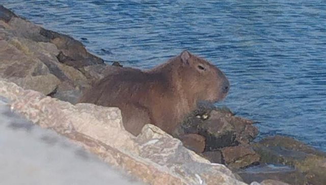 Mucho cielo y mucho mar