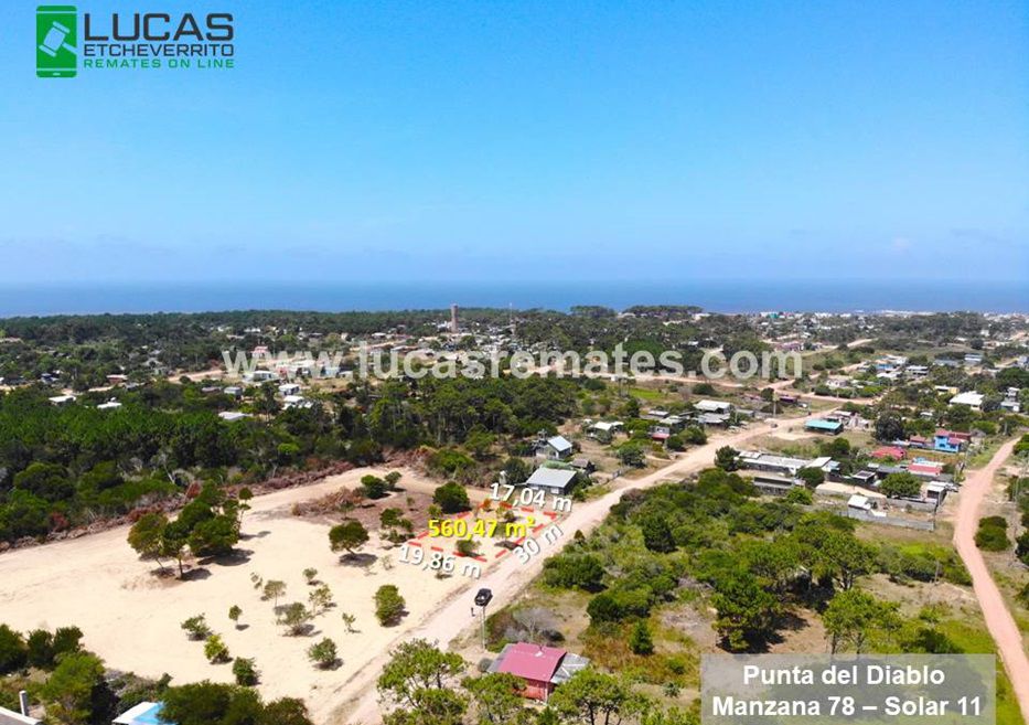 Foto: cedida a Montevideo Portal