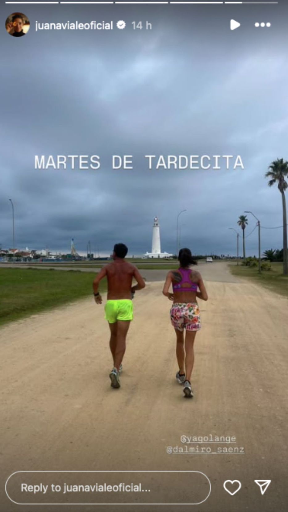 Foto: Historias de Instagram/ @juanavialeoficial