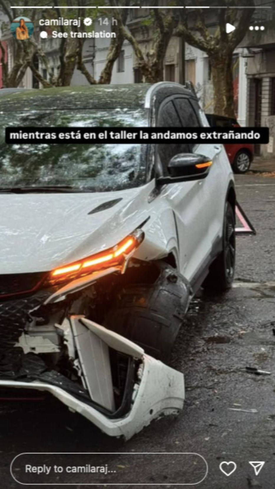 Foto: Instagram/ @camilaraj