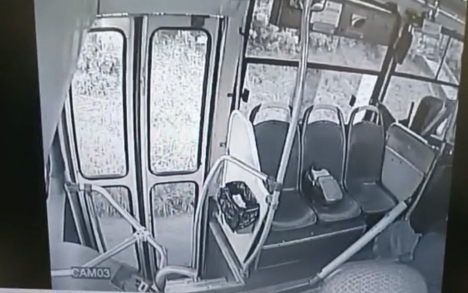 Como sea, dame la plata