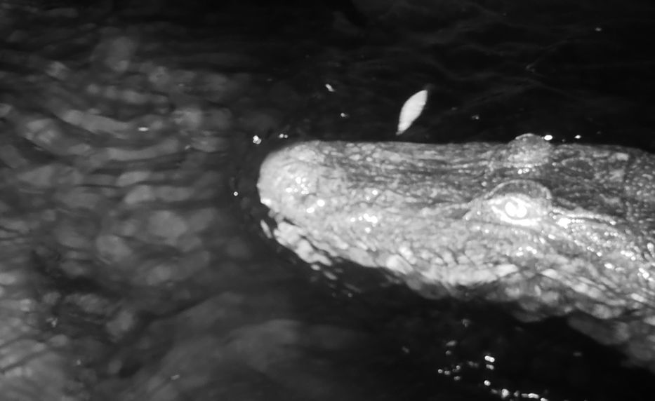 Por The New York Times