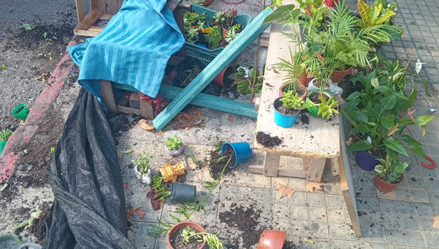 Al fondo que hay lugar