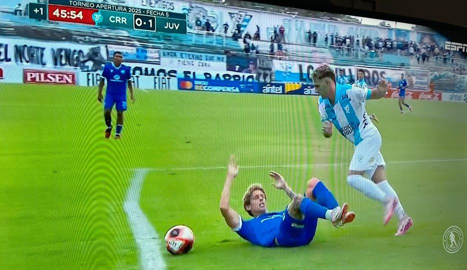 Un camino de hormigas