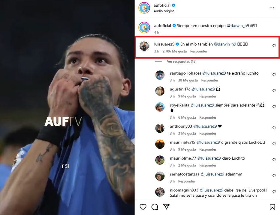 Foto: Instagram AUF