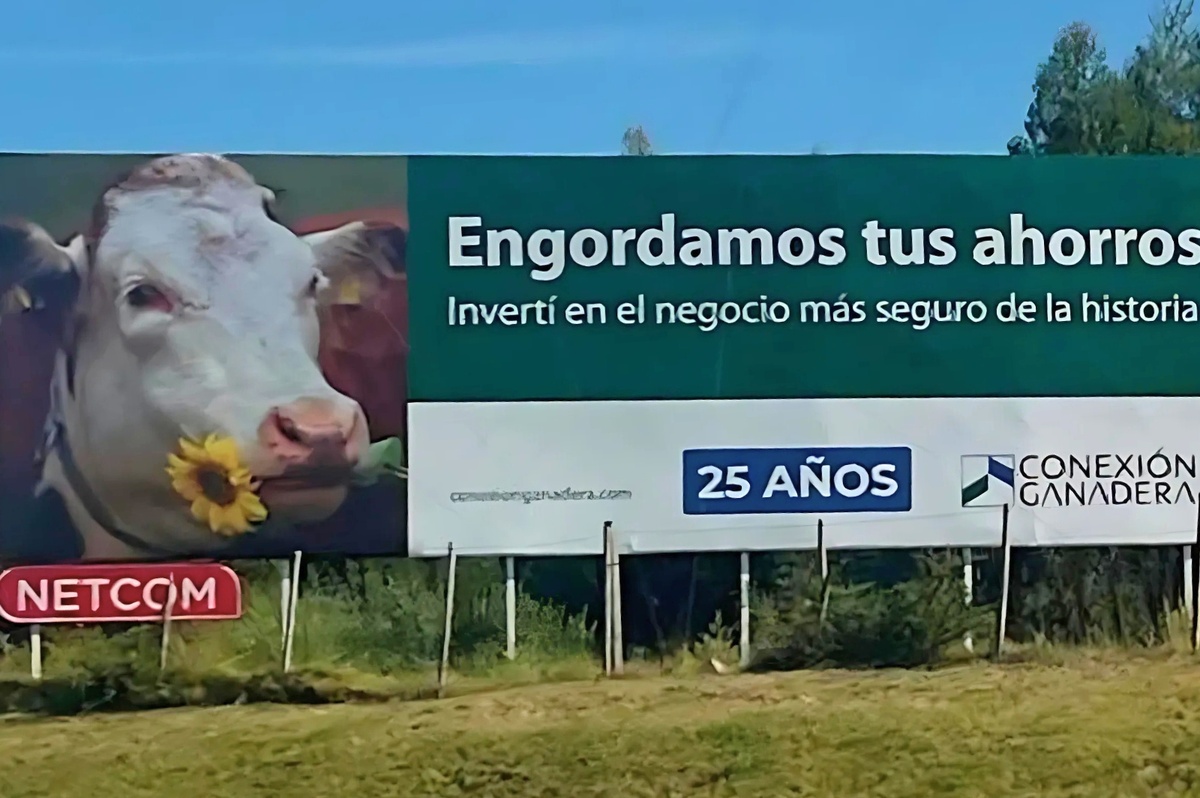 Conexión Ganadera: tres tomadores de ganado son los primeros condenados en la causa