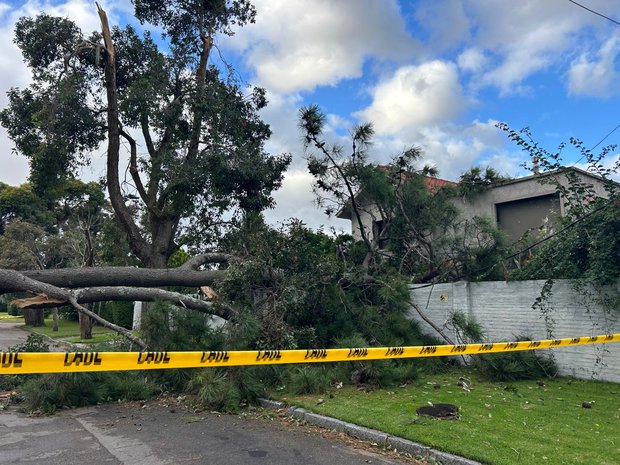 Foto: Intendencia de Maldonado