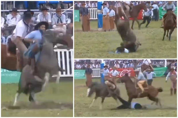 Capturas de video