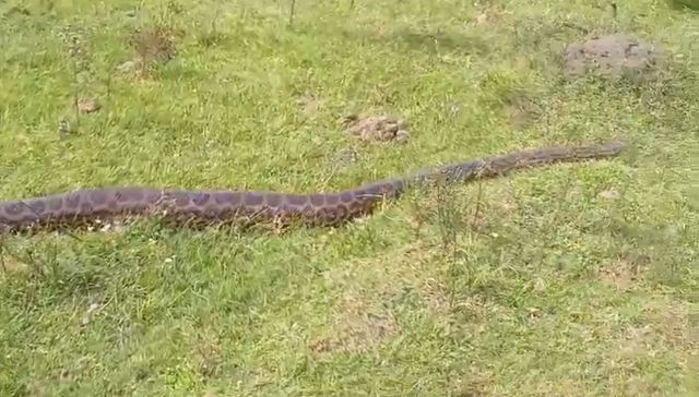 ¿Qué haces por acá?