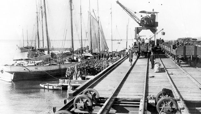 Nacimiento del Uruguay Moderno (54)