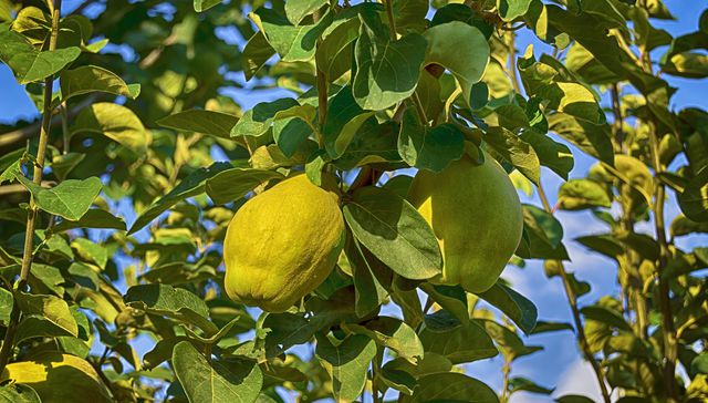 A ponerse las piletas