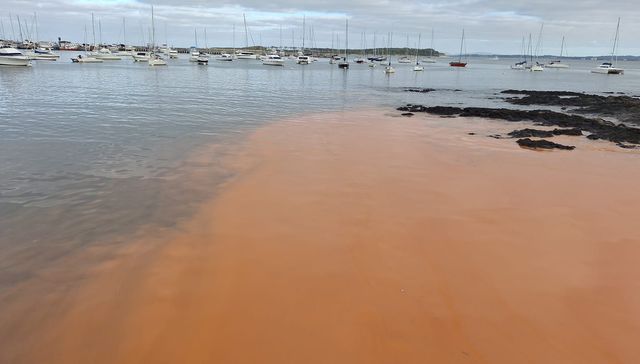 Misterio… resuelto