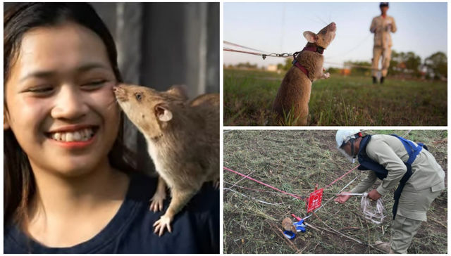 Más crack que Splinter