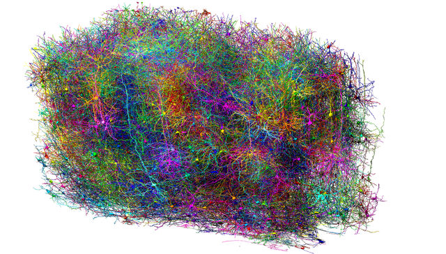 POR THE NEW YORK TIMES