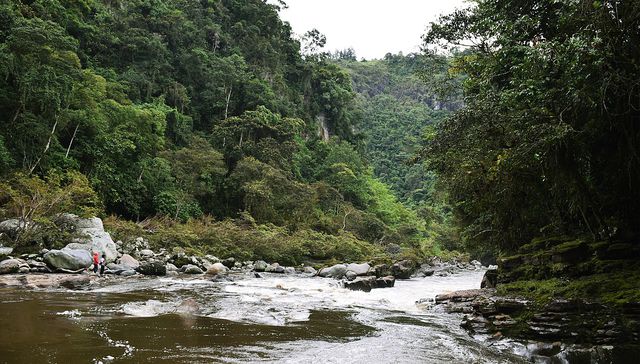 Víctimas del horror