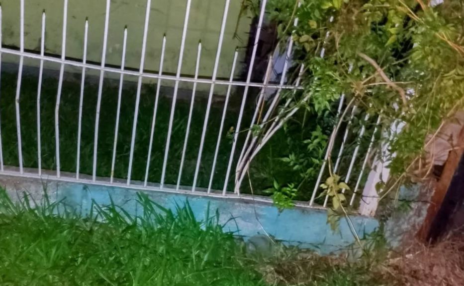 Vueltas y más vueltas