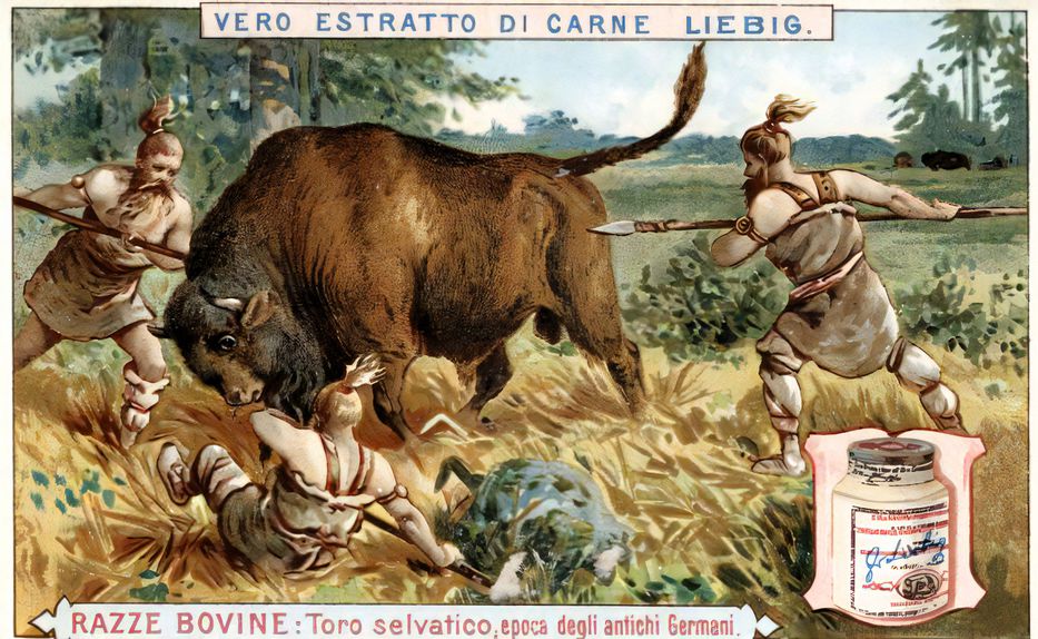 Nacimiento del Uruguay Moderno (52)