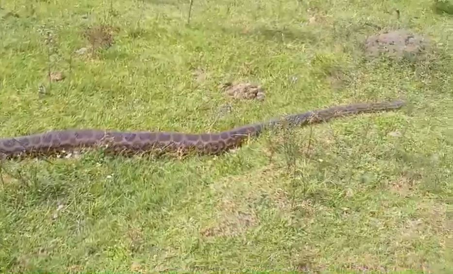 ¿Qué haces por acá?