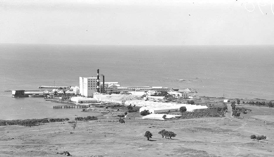 Nacimiento del Uruguay Moderno (53)