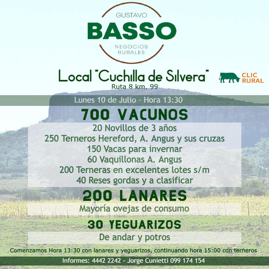 Foto: Gustavo Basso Negocios Rurales