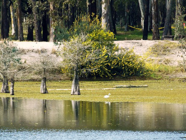 Parque Franklin Delano Roosevelt. Danigoo / Wikimedia Commons