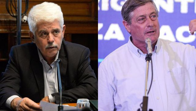 Como canta Turf