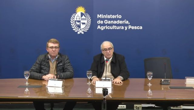 La culpa es de…