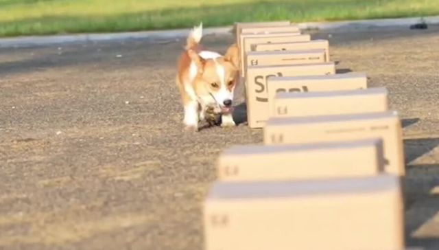 Por The New York Times