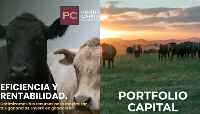 El nuevo Conexión