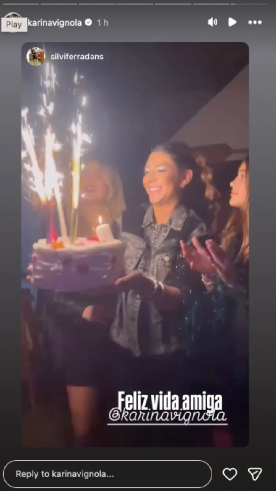 Foto: Historias de Intsagram/ @karinavignola