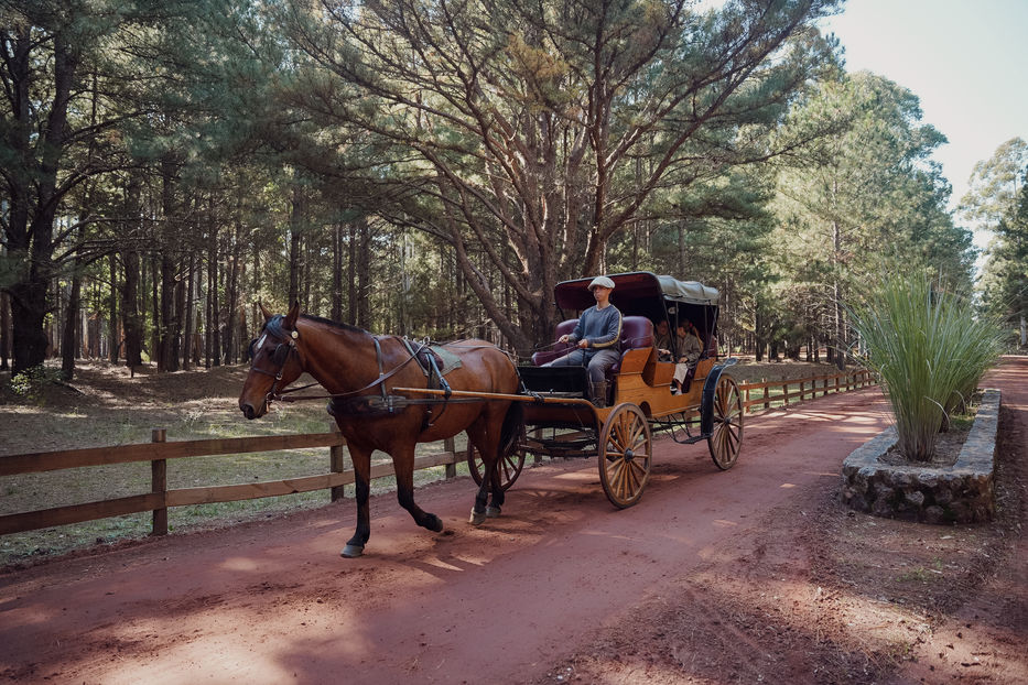 Foto: cedida a Montevideo Portal