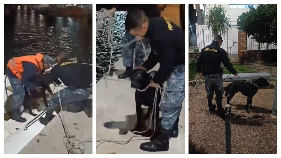 Serio como él mismo