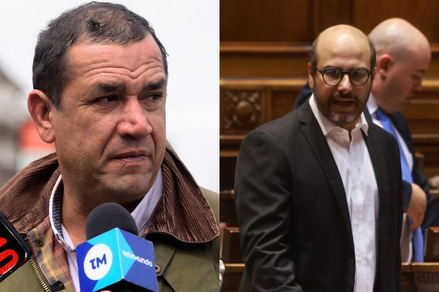 Entre vacas y osos panda