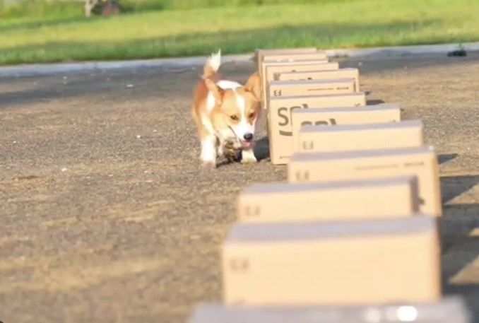 Por The New York Times