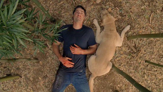 Lost (2004), Jack Bender y Stephen Williams