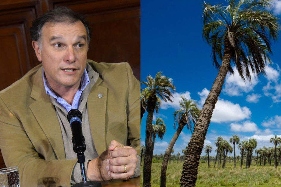 Un paisaje impensado