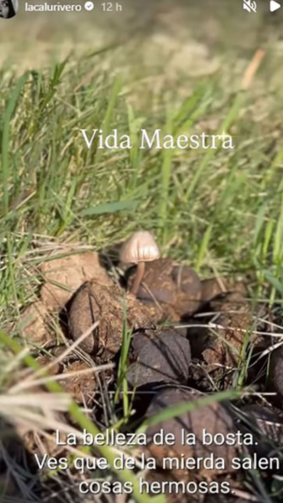 Foto: Historias de Instagram/ @lacalurivero