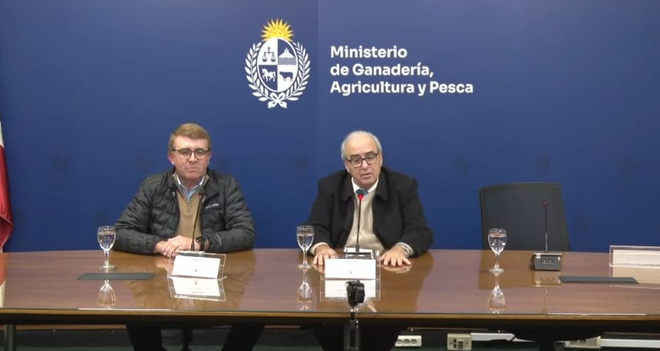 La culpa es de…