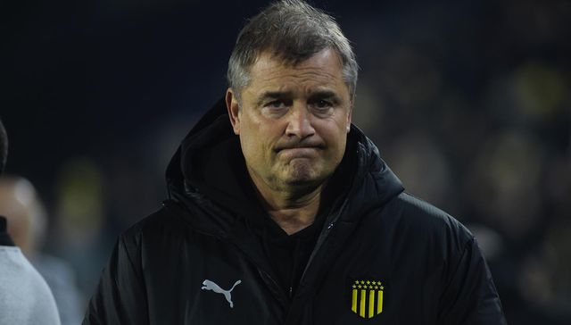 Aurinegro soy